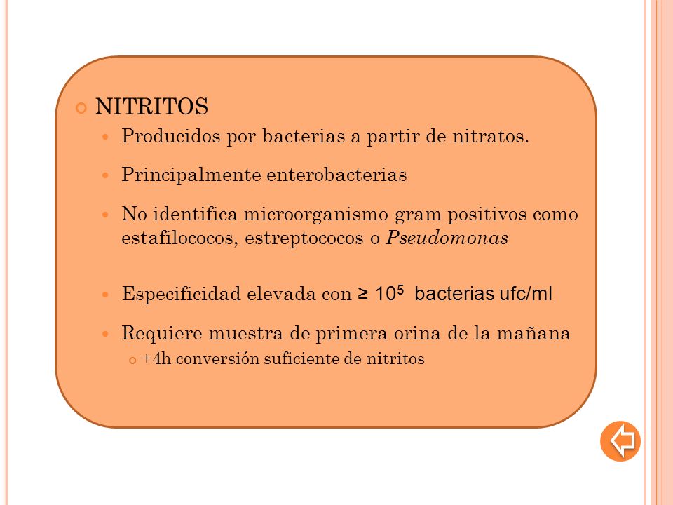 Nitritos positivos en orina q significa